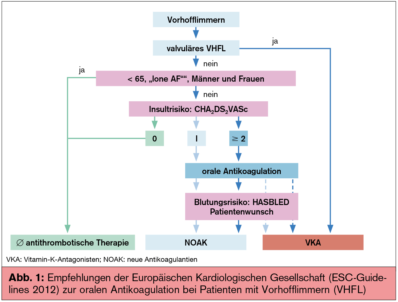 Neuerungen In Den ESC Guidelines Zum Vorhofflimmern Universum Innere